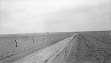 Typical view of the rolling character of the area, New Mexico, 1935. Creator: Dorothea Lange