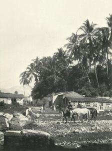 Typical Village of the Pacific Coast Zone: State of Colima 1919. Creator: Unknown