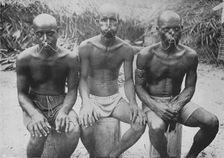 Typical Pearl Drivers c1890, (1910). Artist: Alfred William Amandus Plate