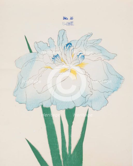U-Chu, No. 25, 1890, (colour woodblock print)