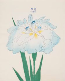 U-Chu, No. 25, 1890, (colour woodblock print)