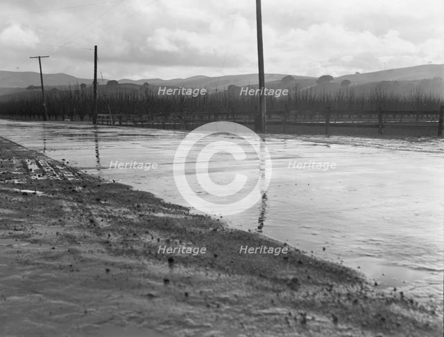 U.S. 101 near San Juan Bautista, California, 1939. Creator: Dorothea Lange.