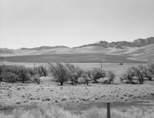 U.S. 99, on ridge over Tehachapi Mountains, 1939. Creator: Dorothea Lange