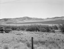 U.S. 99 on ridge over Tehachapi Mountains, 1939. Creator: Dorothea Lange