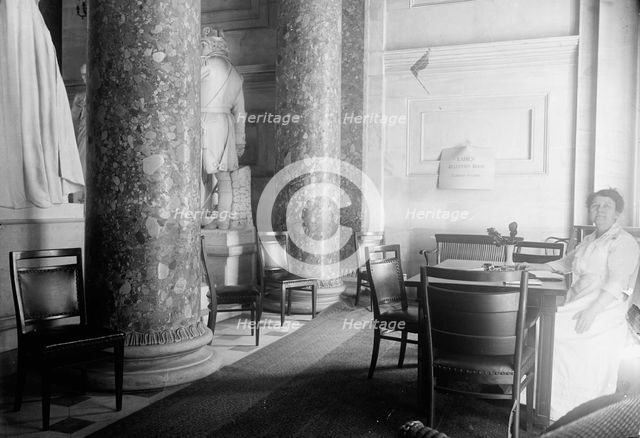 U.S. Capitol - Ladies' Reception Room, 1917. Creator: Harris & Ewing.