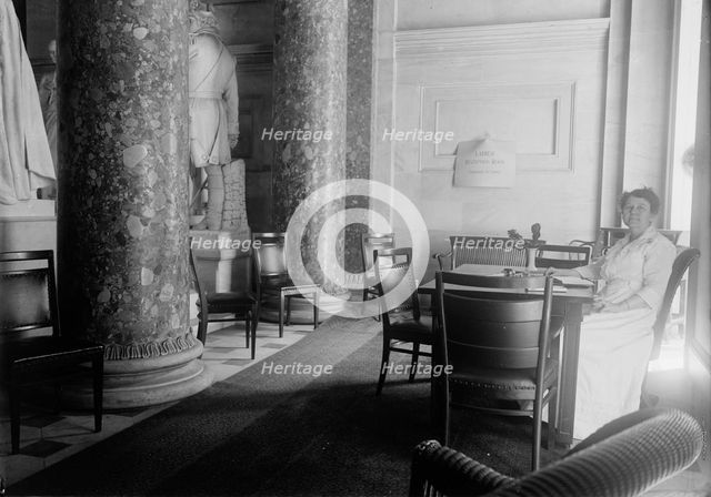 U.S. Capitol - Ladies' Reception Room, 1917. Creator: Harris & Ewing.