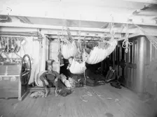 U.S.S. Brooklyn, good-night, between 1896 and 1899. Creator: Unknown