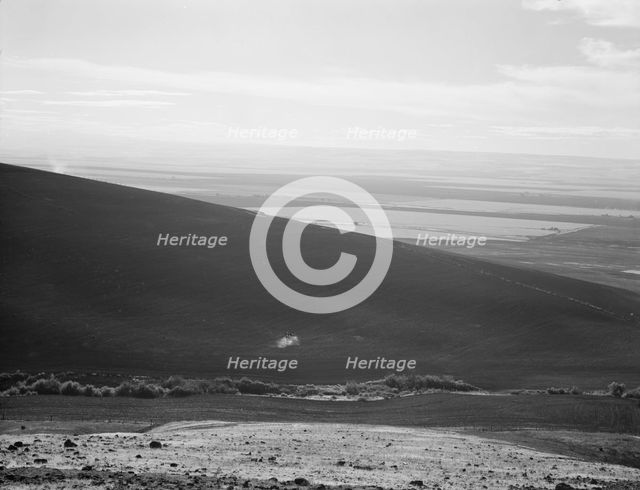 Umatilla Valley wheat farms, Umatilla County, Oregon, 1939. Creator: Dorothea Lange.