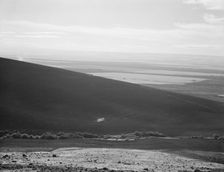 Umatilla Valley wheat farms, Umatilla County, Oregon, 1939. Creator: Dorothea Lange