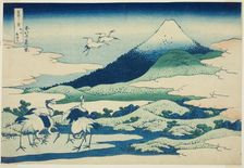 Umezawa Marsh in Sagami Province (Soshu Umezawa hidari), from the series "Thirty-six..., c. 1830/33. Creator: Hokusai