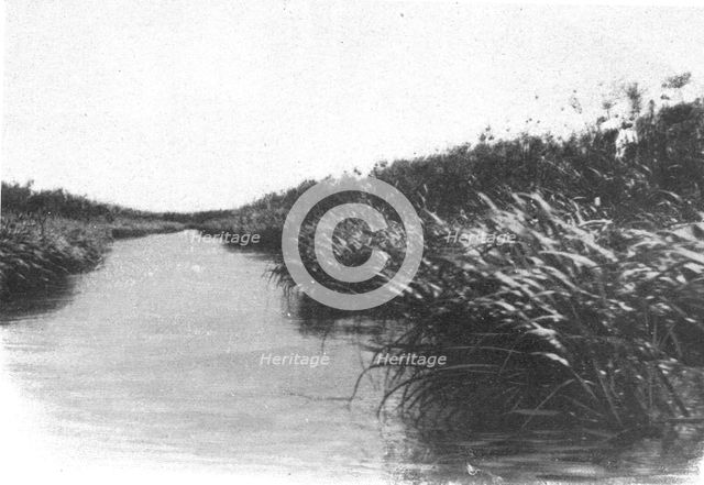 ''Un coin des bords du lac Bangweulu; Afrique Australe', 1914. Creator: Unknown.