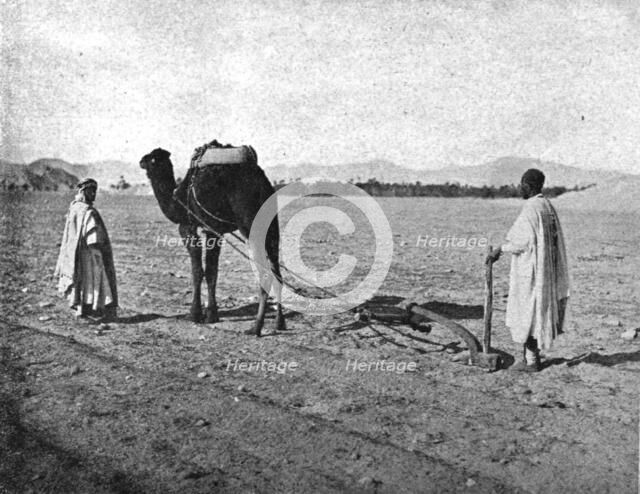 ''Un charrue arabe; Afrique du nord', 1914. Creator: Unknown.