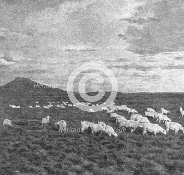 ''Un aspect du Haut Veld; Afrique Australe', 1914. Creator: Unknown.