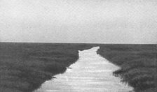 'Un aspect du Sudd; Le Nord-Est Africain 1914. Creator: Unknown