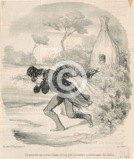 Un monsieur qui voulu étudier ... les moeurs ... des abeilles, 19th century. Creator: Honore Daumier.