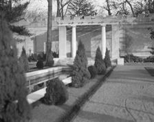 Untermeyer [i.e. Untermyer] garden, 1917 Creator: Arnold Genthe