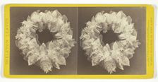 Untitled, 1873. [Skeleton leaves]. Creator: John P. Soule