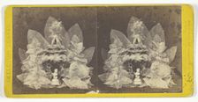 Untitled, 1873. [Skeleton leaves and statuette]. Creator: John P. Soule