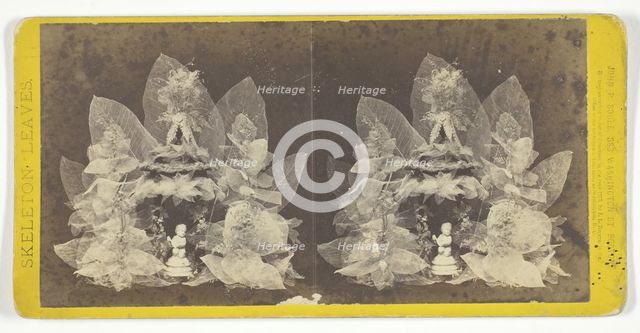 Untitled, 1873. [Skeleton leaves and statuette]. Creator: John P. Soule.