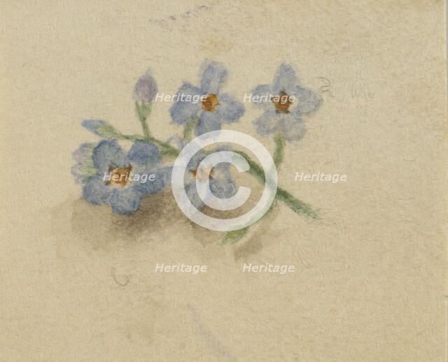 (Untitled), 1874. Creator: Mary Vaux Walcott.