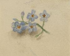 (Untitled), 1874. Creator: Mary Vaux Walcott
