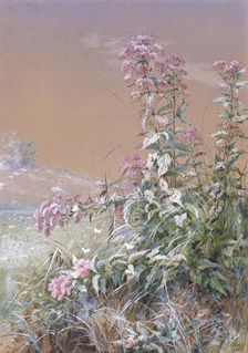 Untitled, 1876. Creator: Fidelia Bridges