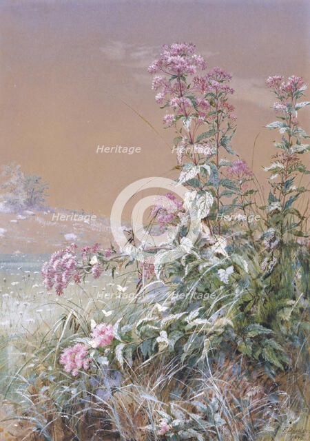 Untitled, 1876. Creator: Fidelia Bridges.