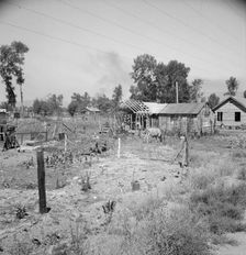 Untitled, 1935-1942. [Rural smallholding]. Creator: Unknown