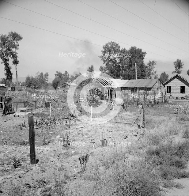 Untitled, 1935-1942. [Rural smallholding]. Creator: Unknown.