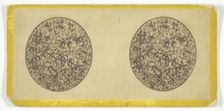 Untitled [collage of photographic portraits], late 19th century. Creator: Daniel S. Camp