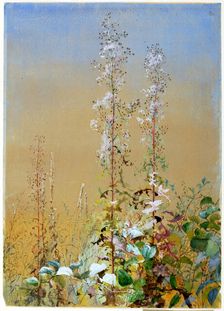 Untitled, ca. 1876. Creator: Fidelia Bridges