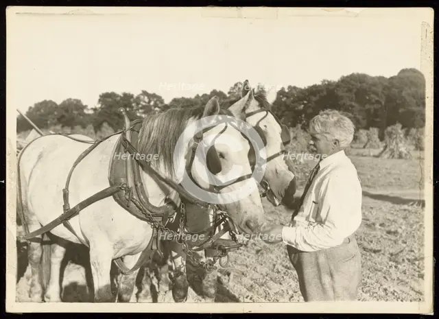 Untitled, ca. 1935. Creator: Lewis Wickes Hine.