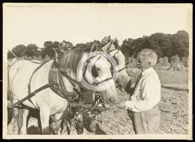 Untitled, ca. 1935. Creator: Lewis Wickes Hine.