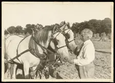 Untitled, ca. 1935. Creator: Lewis Wickes Hine