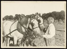 Untitled, ca. 1935. Creator: Lewis Wickes Hine