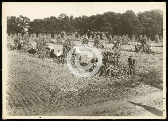 Untitled, ca. 1935. Creator: Lewis Wickes Hine.