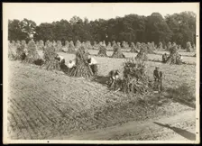 Untitled, ca. 1935. Creator: Lewis Wickes Hine
