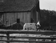 Untitled, between 1935 and 1942. Creator: Dorothea Lange