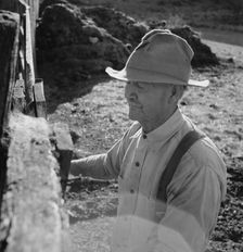 Untitled, between 1935 and 1942. Creator: Dorothea Lange