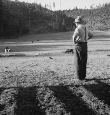 Untitled, between 1935 and 1942. Creator: Dorothea Lange