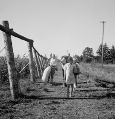 Untitled, between 1935 and 1942. Creator: Dorothea Lange