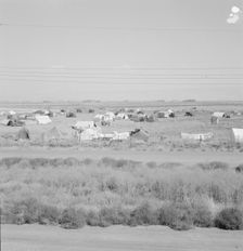 Untitled, between 1935 and 1942. Creator: Dorothea Lange