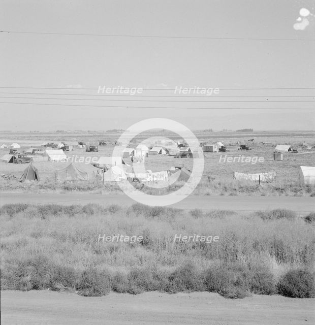 Untitled, between 1935 and 1942. Creator: Dorothea Lange.