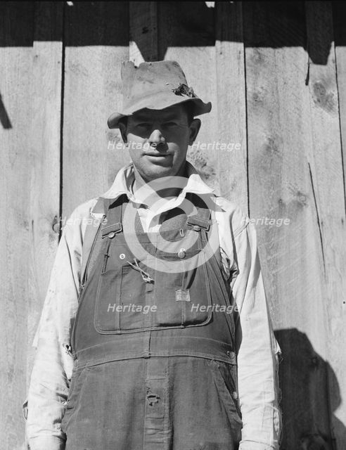 Untitled, between 1935 and 1942. Creator: Unknown.