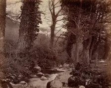 Untitled, c. 1859. Creator: John Lloyd (British, 1865)