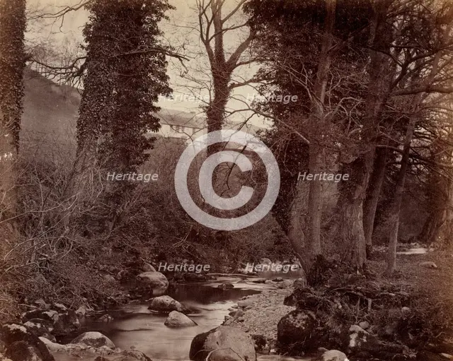Untitled, c. 1859. Creator: John Lloyd (British, 1865).