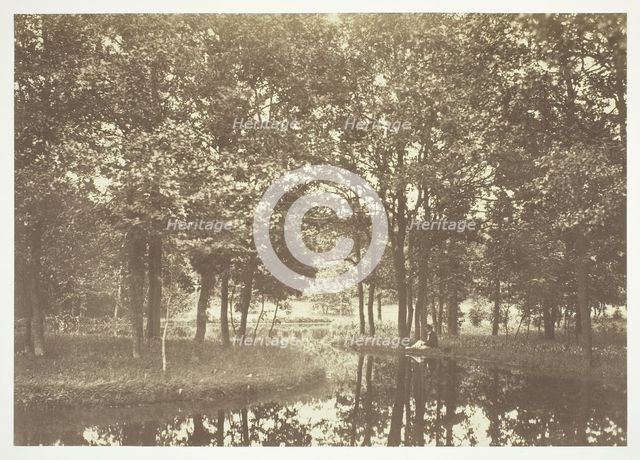 Untitled, c. 1850. [Trees near water in the Bois de Boulogne, a park in Paris].  Creator: Charles Marville.