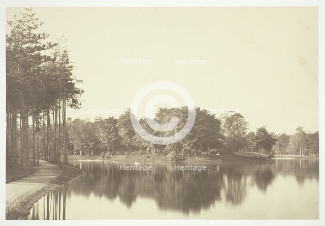 Untitled, c. 1850. [Trees near water in the Bois de Boulogne, a park in Paris].  Creator: Charles Marville.