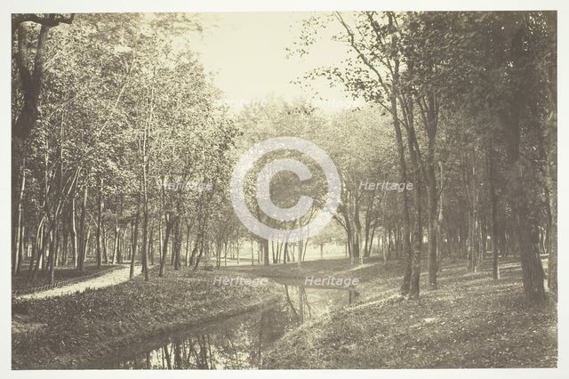 Untitled, c. 1850. [Trees near water in the Bois de Boulogne, a park in Paris].  Creator: Charles Marville.