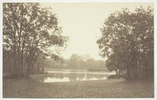 Untitled, c. 1850. [Trees near water in the Bois de Boulogne, a park in Paris]. Creator: Charles Marville